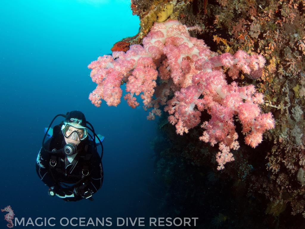 Magic Oceans Dive Resort Anda  Exterior foto
